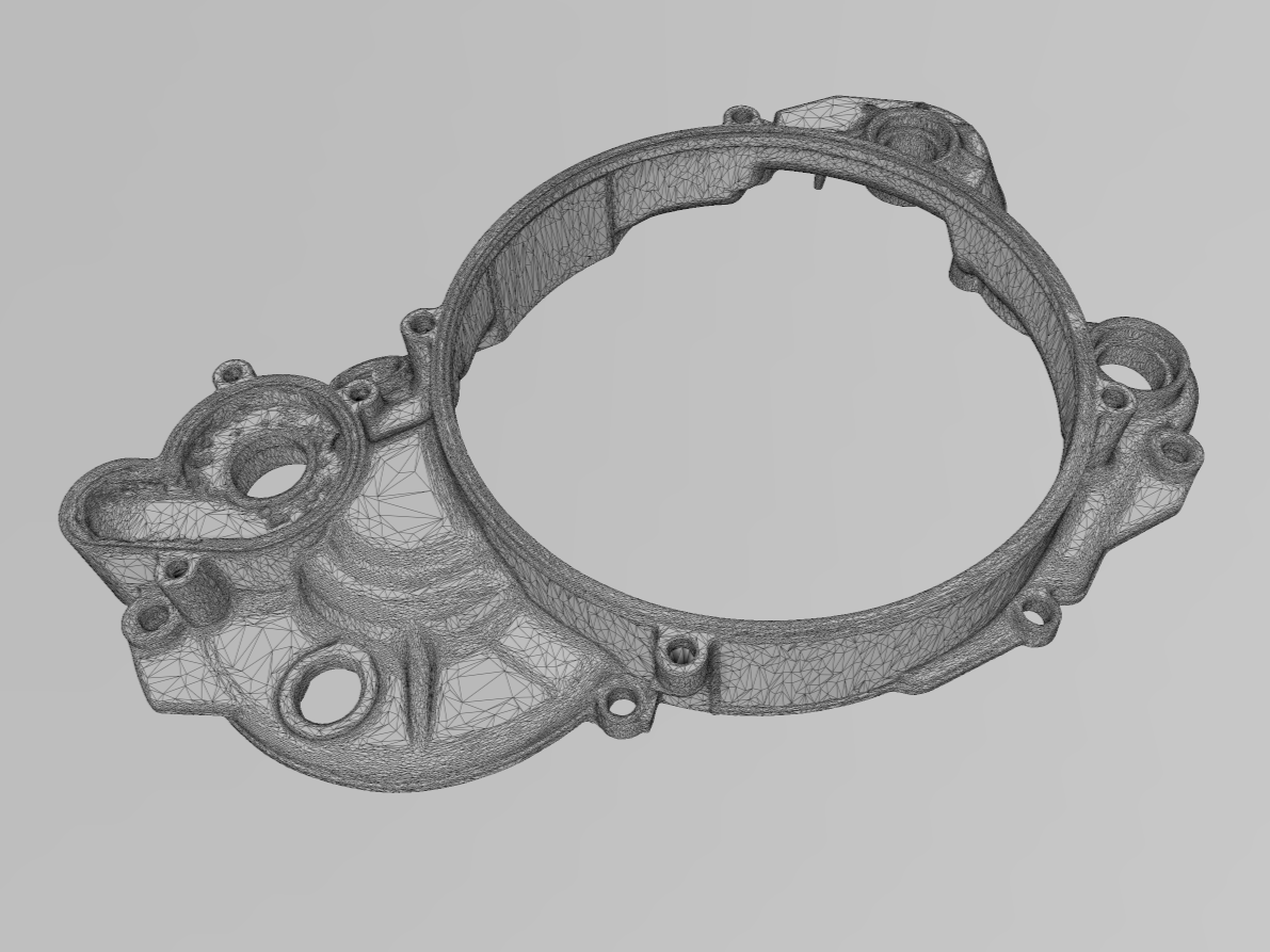 Captured mesh data